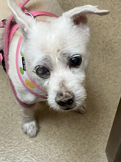 Calusa Crossing Animal Hospital