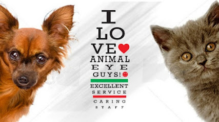 Animal Eye Guys – Miami Bird Road