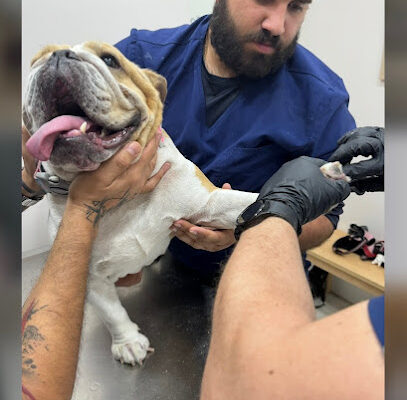 Dollys Animal Clinic Miami, FL