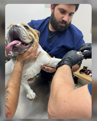 Dollys Animal Clinic Miami, FL