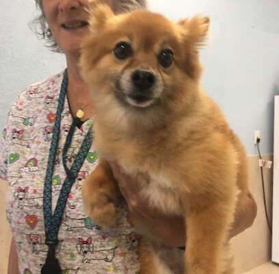 Caballero Animal Clinic