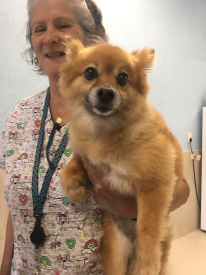 Caballero Animal Clinic