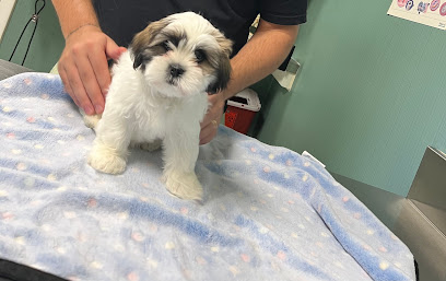 St. Francis Veterinary Clinic