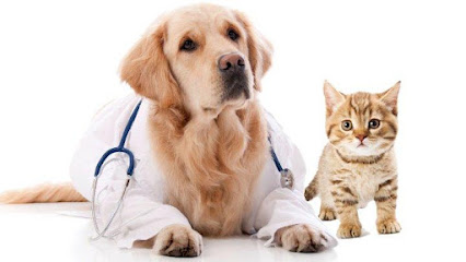 Country Walk Animal Hospital
