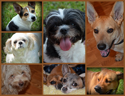 Redland Animal Hospital