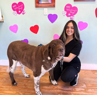 Pou Veterinary Group