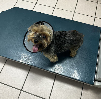 Homestead Animal Hospital