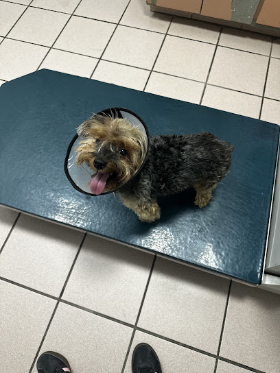 Homestead Animal Hospital