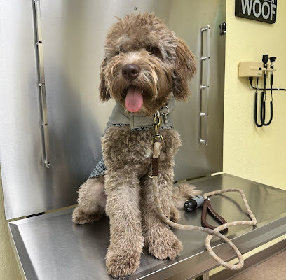 Pet Care Now