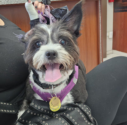 Lidia’s Veterinary