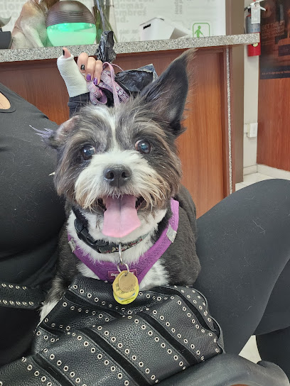 Lidia’s Veterinary