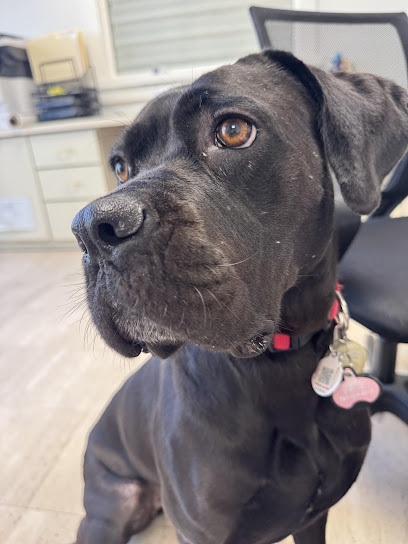Kendall Animal Clinic