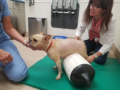Animal Health & Rehab Center (AUSTIN DANIELS ANIMAL HOSPITAL)