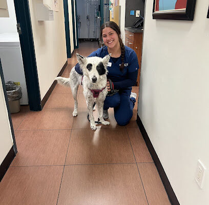 VCA Cabrera Animal Hospital