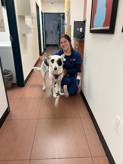 VCA Cabrera Animal Hospital