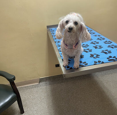 Southwest Animal Hospital
