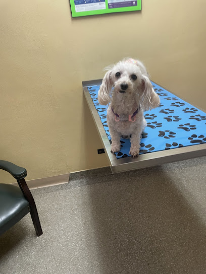 Southwest Animal Hospital