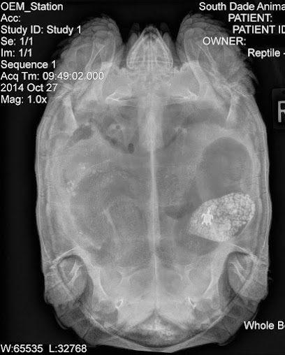 Avian & Exotic Animal Medical Center