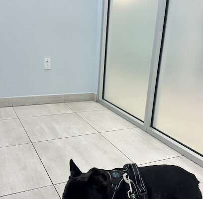 Southeast Veterinary Neurology