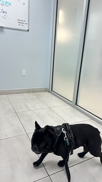 Southeast Veterinary Neurology