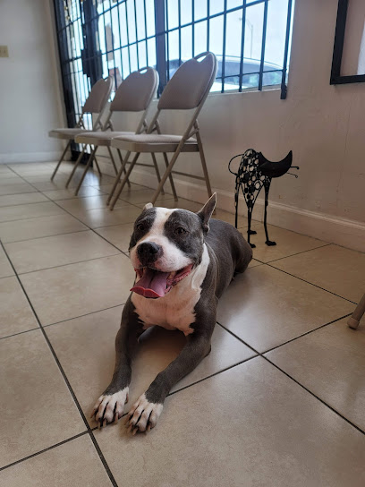 Flagler Animal Clinic