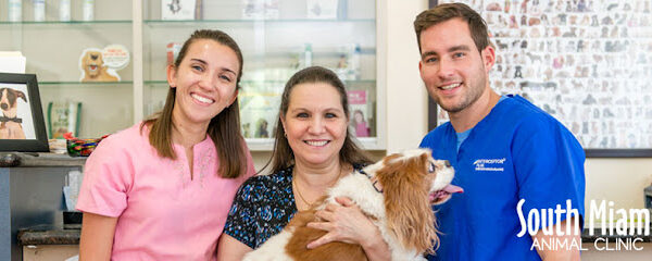 South Miami Animal Clinic