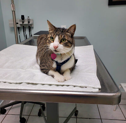 AWS Animal Hospital – Animal Welfare Society of South Florida