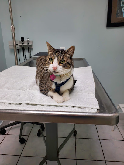 AWS Animal Hospital – Animal Welfare Society of South Florida