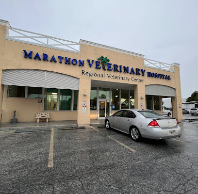 Emergency veterinarian service