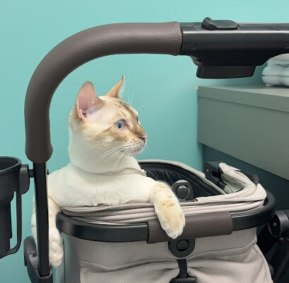 Brickell Bay Animal Hospital