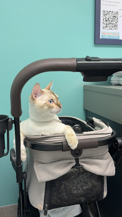 Brickell Bay Animal Hospital