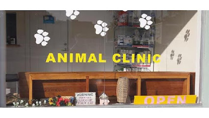 Key West Vets and Pets